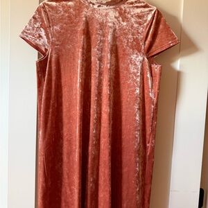 Madewell Pink Velvet Dress